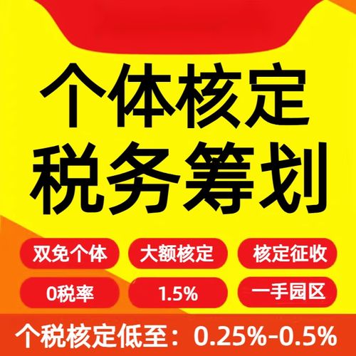 湖北江西海南成都大額雙免園區(qū) 個(gè)人稅務(wù)合規(guī)籌劃商務(wù)服務(wù)